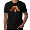 Poodle Gorgeous Poodle Face  Head Tshirt Creative Graphic Tee Shirt Tshirt