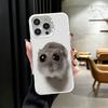 Funny Sad Hamster Meme Shockproof Phone Case for iPhone 17 Air 16 16E 15 Pro Max 14 Plus 13 Mini 12 Back Cover Anti Fall Fundas