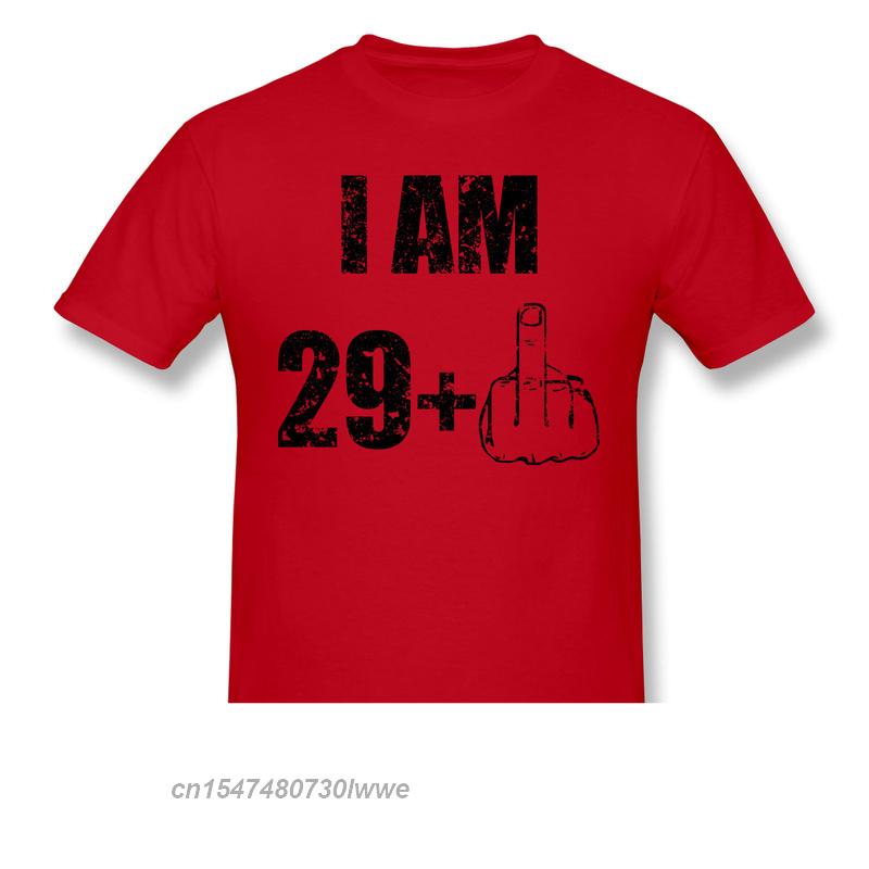 I Am 291 30 Years Old Funny Saying Print Cotton Tshirt Camiseta Hombre Born In 1991 For Unisex Stylish Streetwear Shirt Gift
