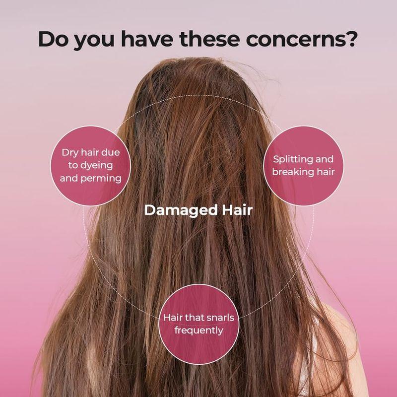 JULYME - Damage Care Perfume Shampoo - 3 Types