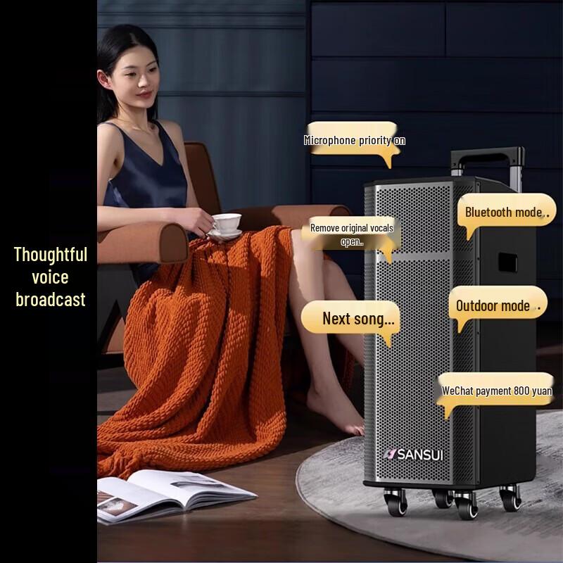 SANSUI G26 Outdoor High-Power Bluetooth Karaoke Trolley Speaker CN plug (adapter included)
