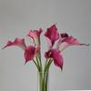 Decorațiuni pentru casă – Flori decorative şi coroane de flori