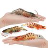 Simuliertes Meereskreaturenmodell Kinderkognition Penaeus Monodon Aquatische Tigergarnele Meeresboden-Tier Statisches Ornament