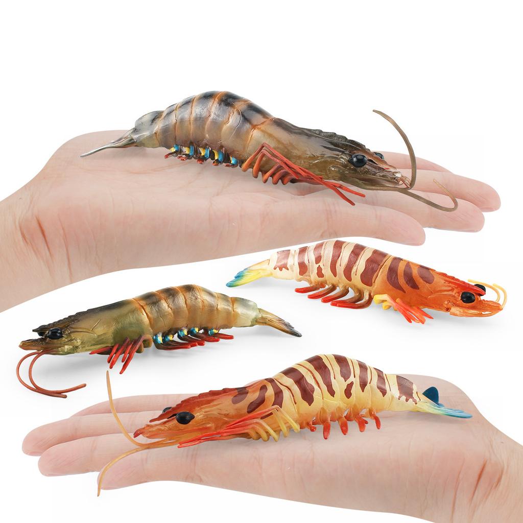 Simuliertes Meereskreaturenmodell Kinderkognition Penaeus Monodon Aquatische Tigergarnele Meeresboden-Tier Statisches Ornament