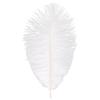 Imported Colored Ostrich Feather Bouquet for DIY Floral Arrangements