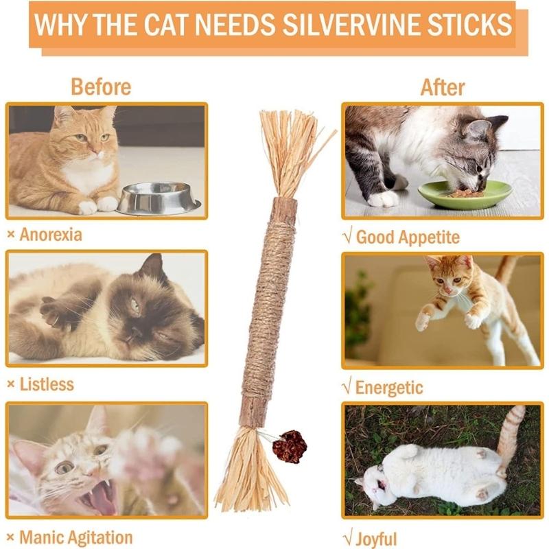 Doğal Matatabi Evcil Hayvan Kedi Atıştırmalıkları Çubukları Diş Temizleme Kedi Nanesi Kedi Oyuncakları Actinidia Silvervine Evcil Hayvan Oyuncakları Kediler İçin Aksesuarlar