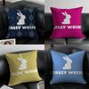 Fashionable Design Tally Weijl-I Pillow Case Anti-dustmite Pillowcase Invisible Zipper Silky Short Plush Sofa Cushion Cover