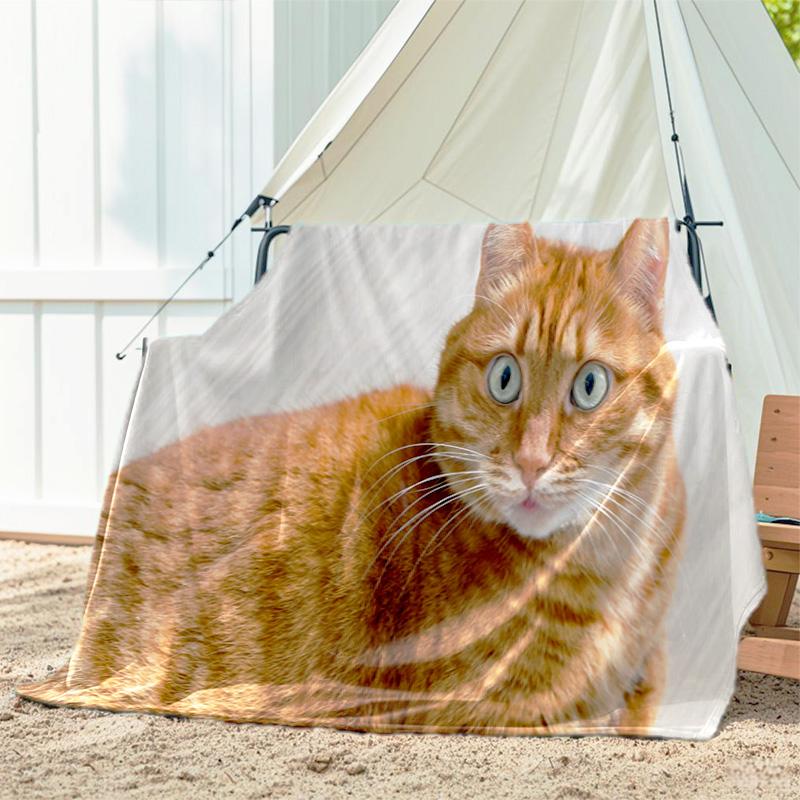 

1pc Animals: catsand cows pattern blanket, all season lightweight home office outdoor nap multifunctional blanket 80cm x 120cm