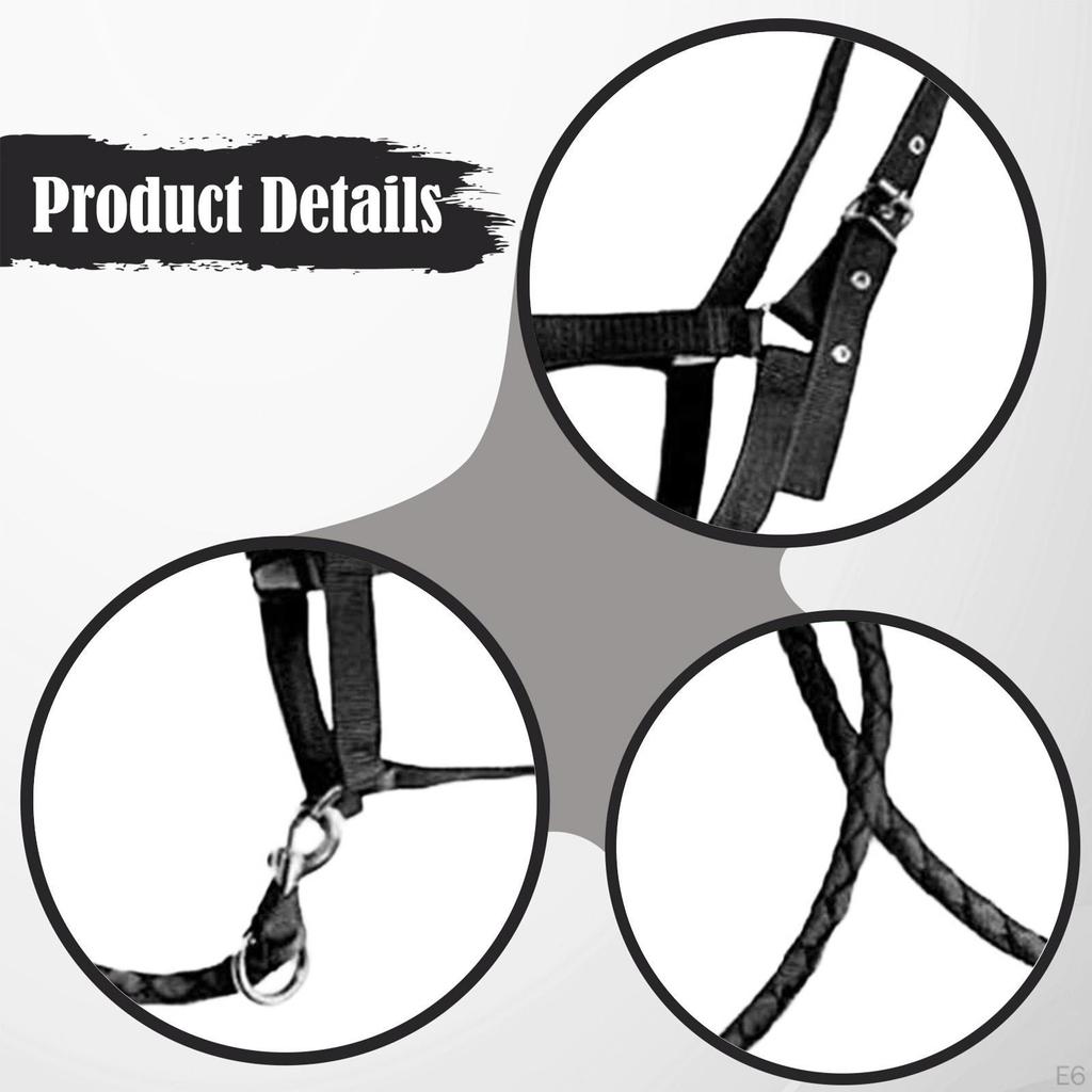 Halter Rope with Reins, Horse Harness, Bridle, Equestrian Equipment for Owners And Racetrack