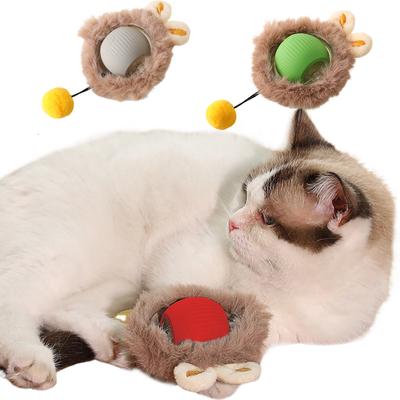 Gatos – Brinquedos para gatos
