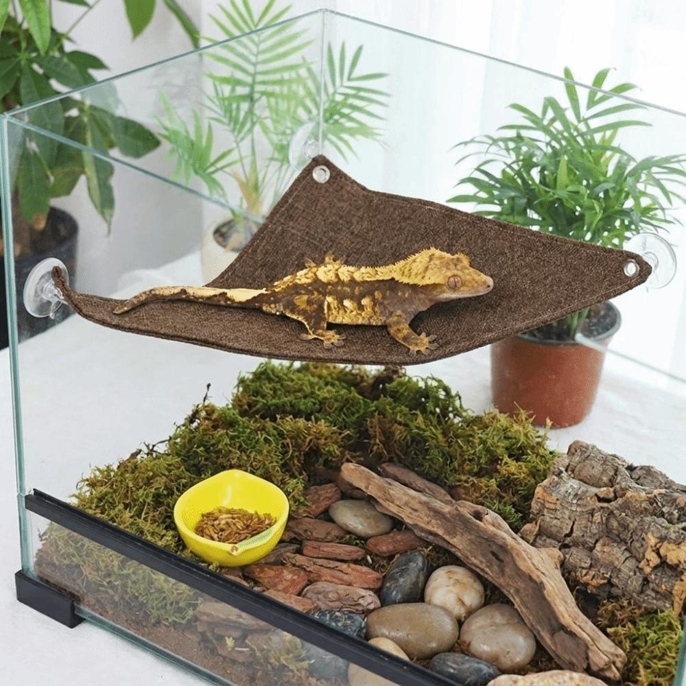 Lightweight Lizard Triangle Hammock Suction Cup Pet Climbing Net Habitat Decor