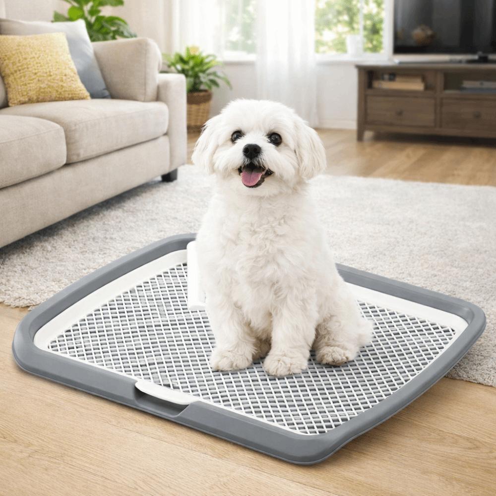 Removable Net Dog Training Toilet Mesh Dog Potty Trainer Dog Potty Toilet Training