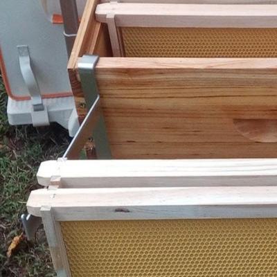 2pcs Stainless Steel Beehive Frame Holder Rustproof Multifunctional Bee Hive Frame Grip Adjustable Stable Bee Hive Frame Gripper