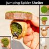 Hanging Jumping Spider Hideout Magnetic Install Insect Hide House  Small Pet Supplies