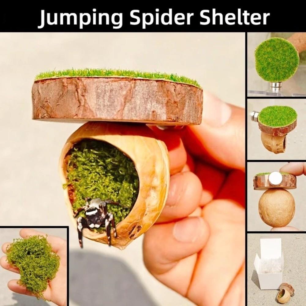 Hanging Jumping Spider Hideout Magnetic Install Insect Hide House Small Pet Supplies