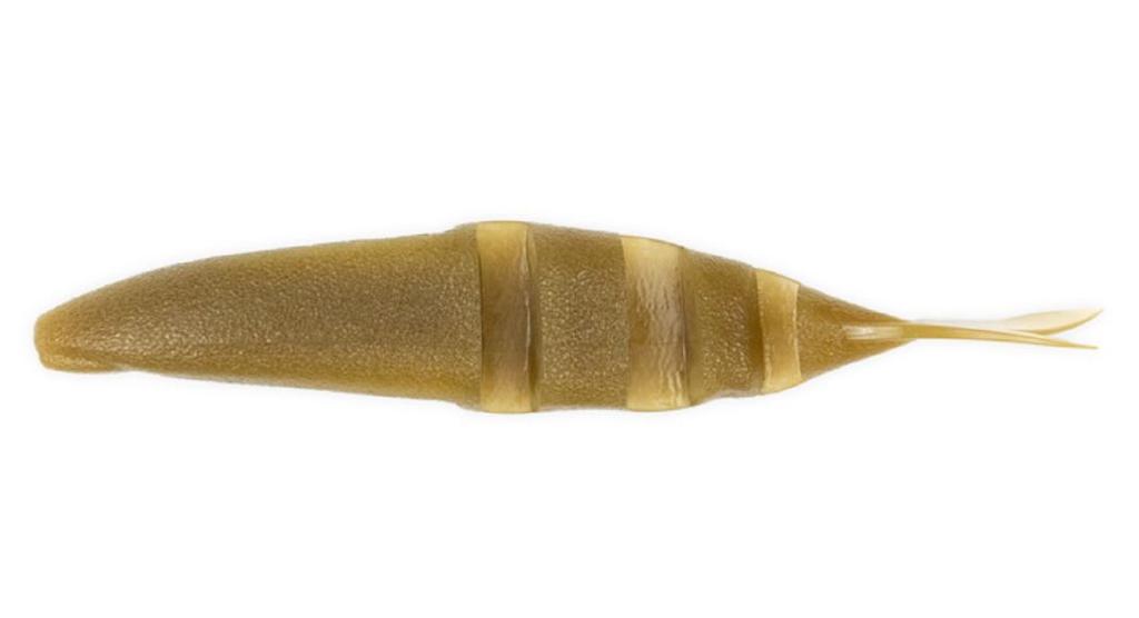 Imakatsu Weicher Köder Javallon 110mm 5/Packung S-02 (0182)