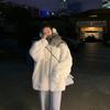 Imitation Lamb Plush Fur Coat for Women Medium To Long Korean Version Loose and Thick Mink Fur Fur Coat