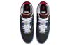 Nike Sb Ishod Wair NBA 75. Jubiläum DM0752-002