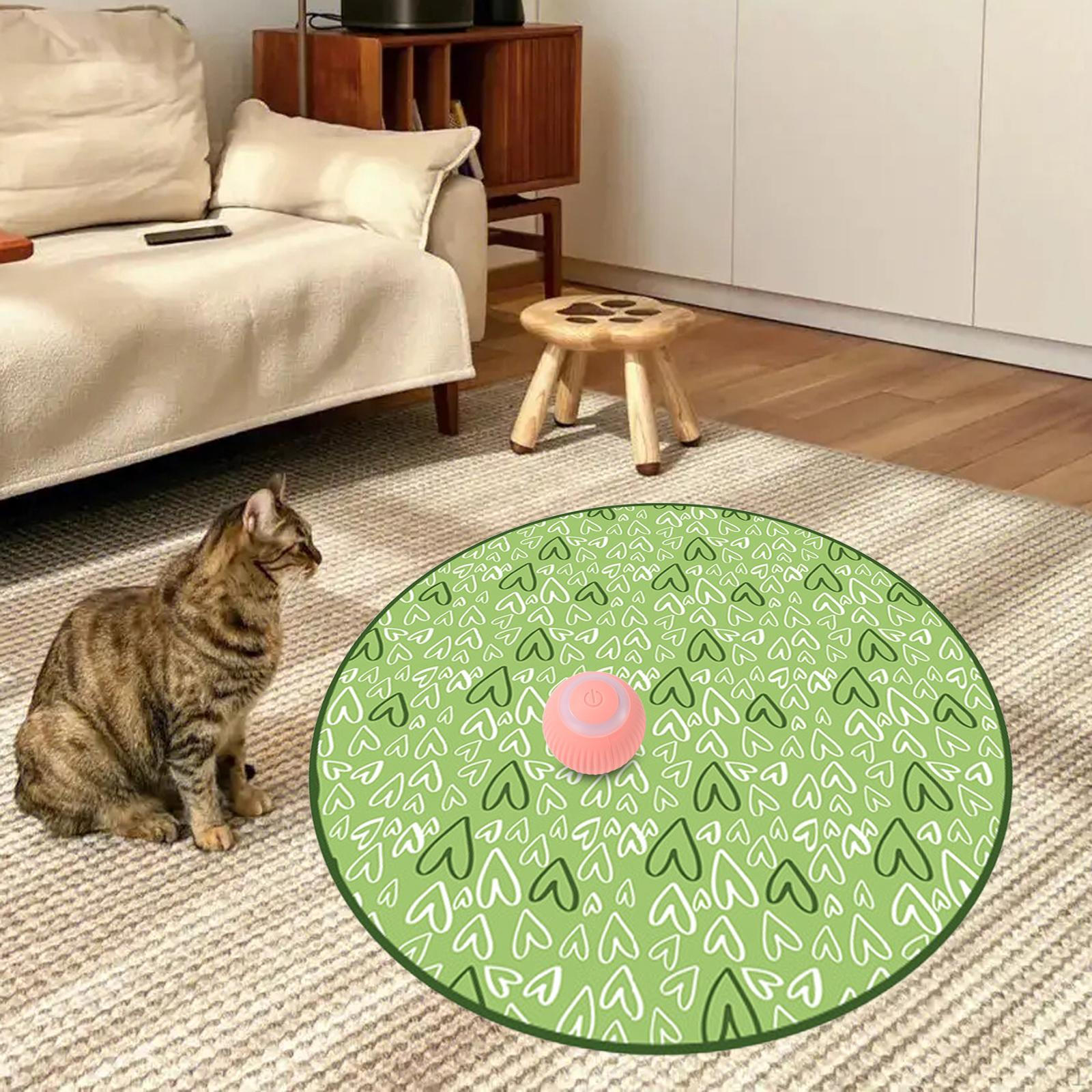 

Одеяло для охоты на кошек, тренировочный коврик, игрушка для упражнений, интерактивная игрушка для коробок, автомобильная кровать для спальни зелёный