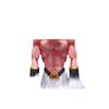 Dragon Ball figure body doppelganger Buo Demon desktop chassis animation peripheral statue model Saiyan ornament