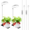 Xiaomi LED Ring Grow Lights, Full Spectrum Halo Growing Lamp with Stand Base 3/6/12H Timer, White Plant Light for Small Indoor Growing
