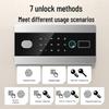Tiger Brand Boya Series Biometric Security Safe