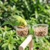 With Clip Bird Cage Feeder Transparent Pet Bird Feeder Parrot Food Bowl  Small Pet Bird
