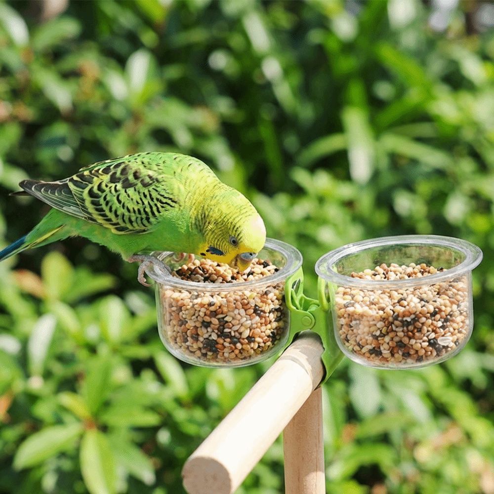 With Clip Bird Cage Feeder Transparent Pet Bird Feeder Parrot Food Bowl  Small Pet Bird