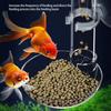 Acrylic Aquarium Fish Feeder Transparent Tube Floating Sinking Feed Suction Cup Feeding Ring Fish Tank Accessory