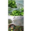 White Insect Screen Mesh High Temperature Resistant Tear Resistant Scalable Insect Proof Net Air
