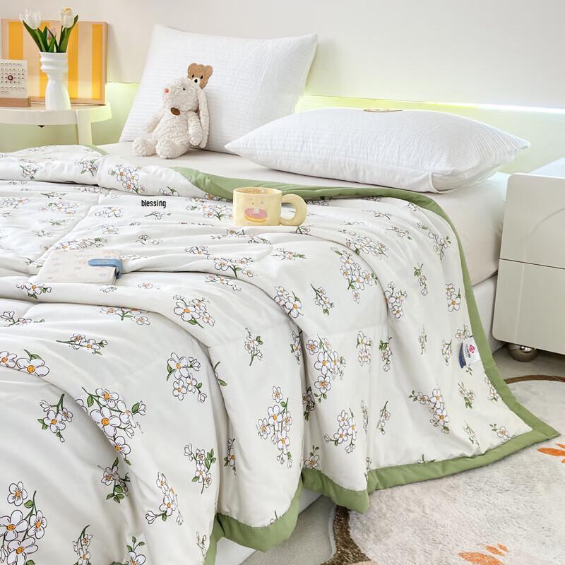 Paul David All-Season Skin-Friendly Quilt