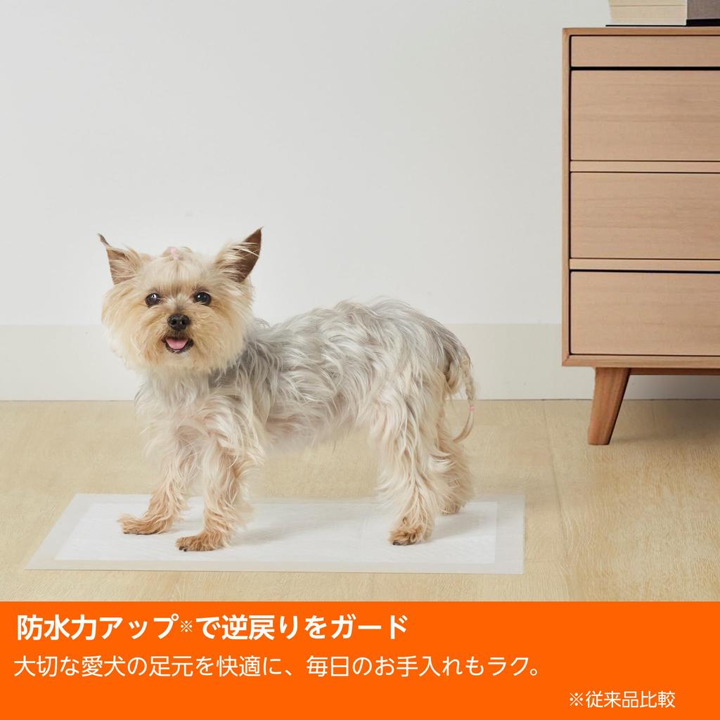 Amazon Basics Pet Sheets, Thin, Regular, Single-Use, Unscented, White, 300 Sheets (Formerly Brand Name: Amazon)