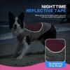 Breathable Mesh Pet Cooling Shirt Sun Protection Dog Ice Cool T-shirt  Outdoor Walking Dog