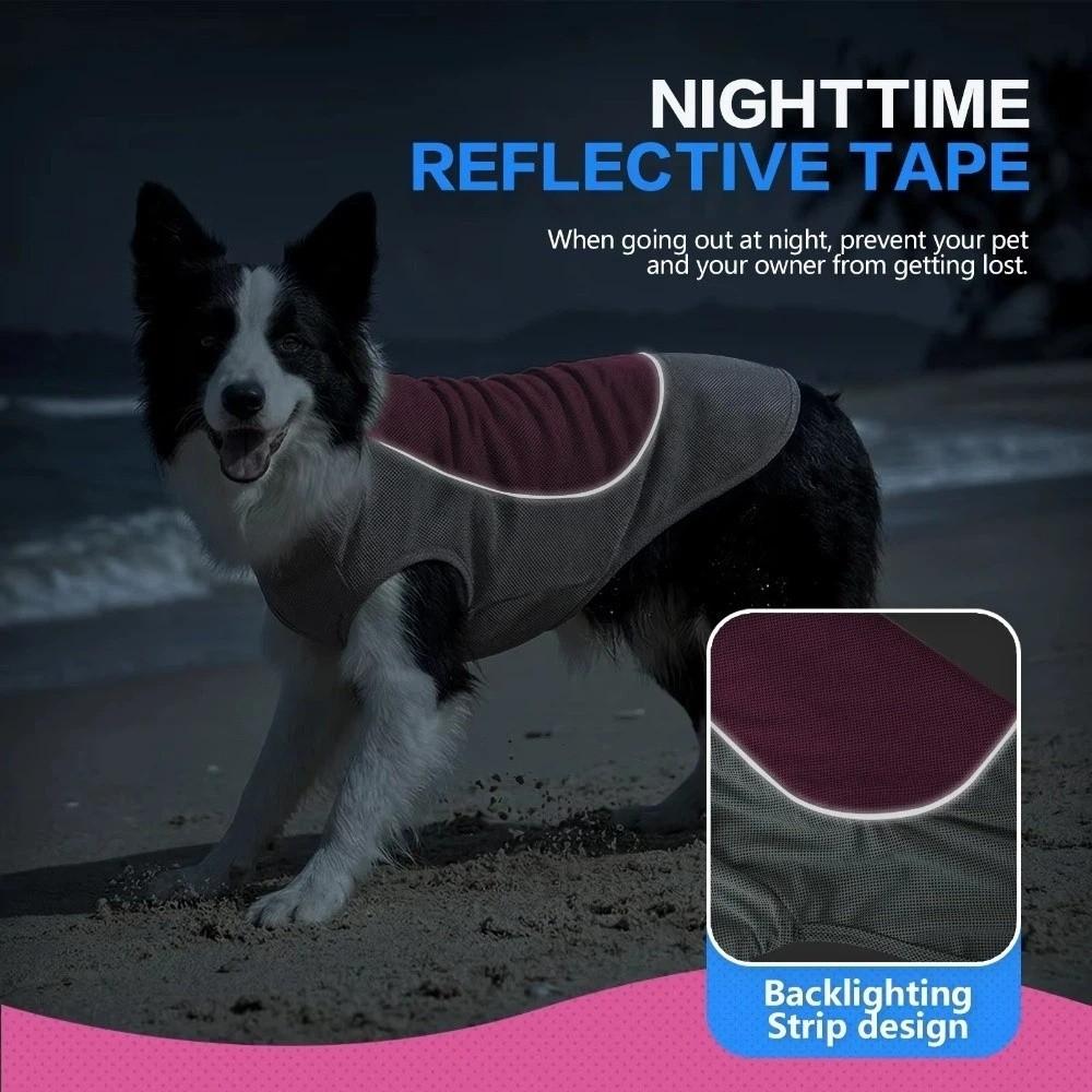 Breathable Mesh Pet Cooling Shirt Sun Protection Dog Ice Cool T-shirt Outdoor Walking Dog