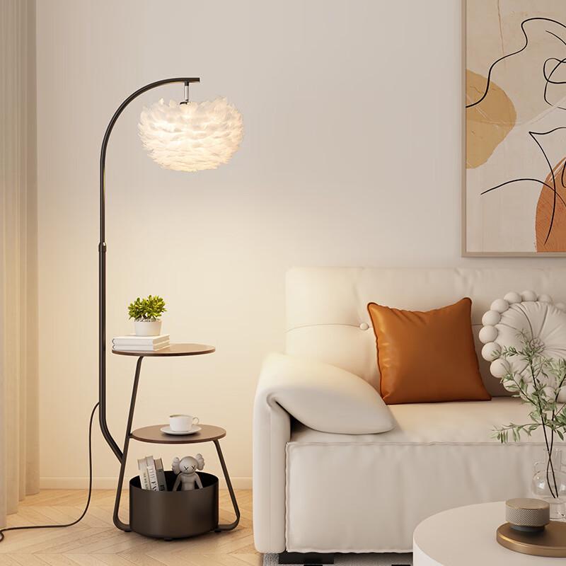 Xuanyong Feather Floor Lamp