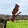 Rusty Iron Bird Silhouette Garden Stake Vintage Art Sculpture for Outdoor Fence Decor Easy Install Yard Ornament