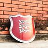 Medieval Knight Lion Heater Shield Crusader Shield Battle Warrior Shield Rytíř Lion Face Shield replika Halloweenský speciální dárek.