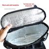 Car Seat Back Organizer & Insulated Storage Bag with Ice Pack Function