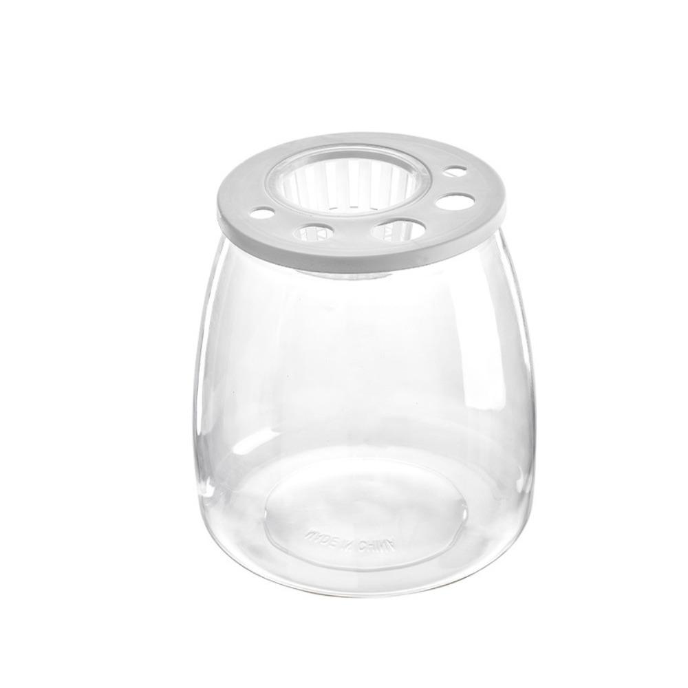 Plastic Turtle Aquarium Transparent Turtle Terrarium Small Clear Fish Tank  Aquarium Setup