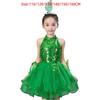 Vestito da Ballo Balletto Bambina Verde Paillettes con Copricapo Polsini Vestito Gonfio Bambine Ragazze