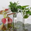 Hanging Aquarium Plant Holder Plastic Aquarium Hooks Planter Cups Planter Baskets Practical Aquatic Pot Box Aquascape Decoration