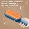 One Button Pet Cleaning Spray Comb Steam Spray Function Cat Massage Comb  Pet Grooming Tool