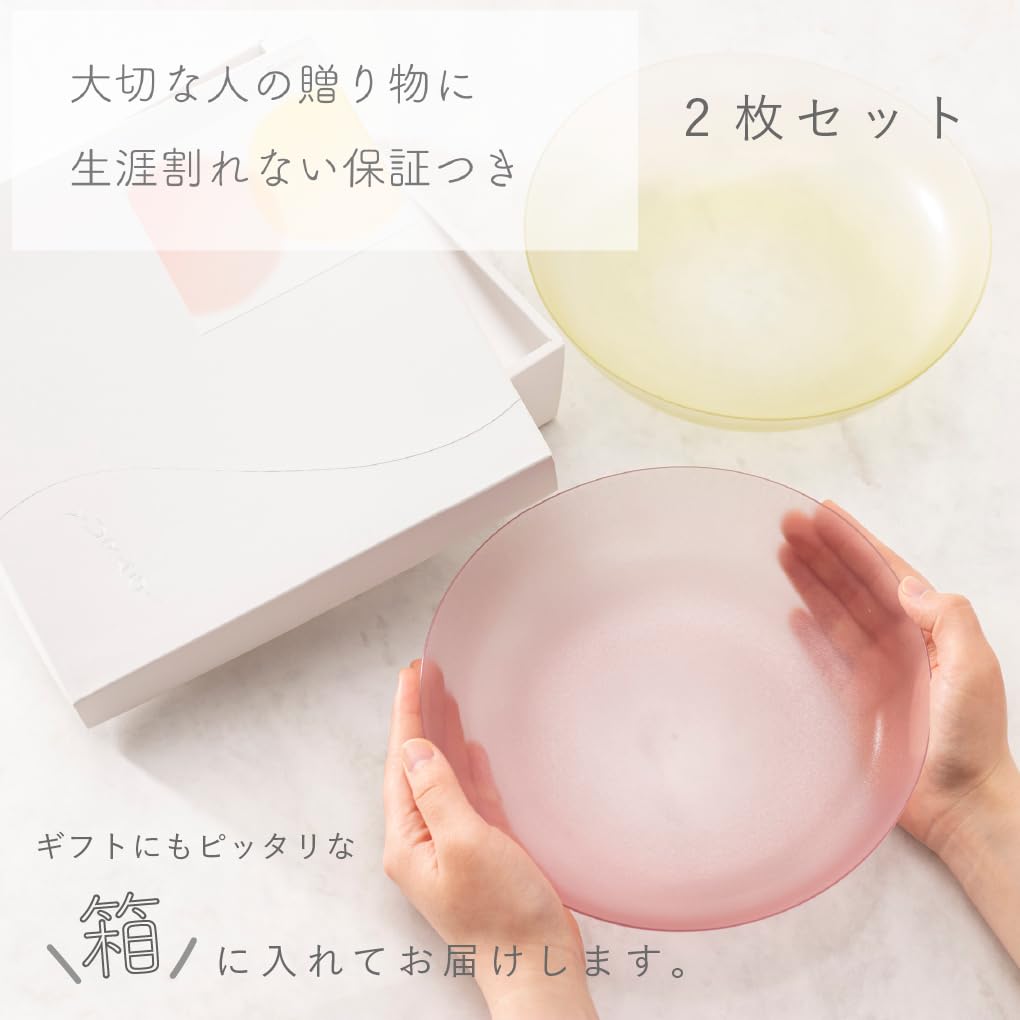 IJ Unbreakable All-Purpose Bowls and Lunch Plates, Set of 2, 21cm x 2, Dishwasher Safe, Made in Japan, Perfect for Home Parties, Outdoor Activities,