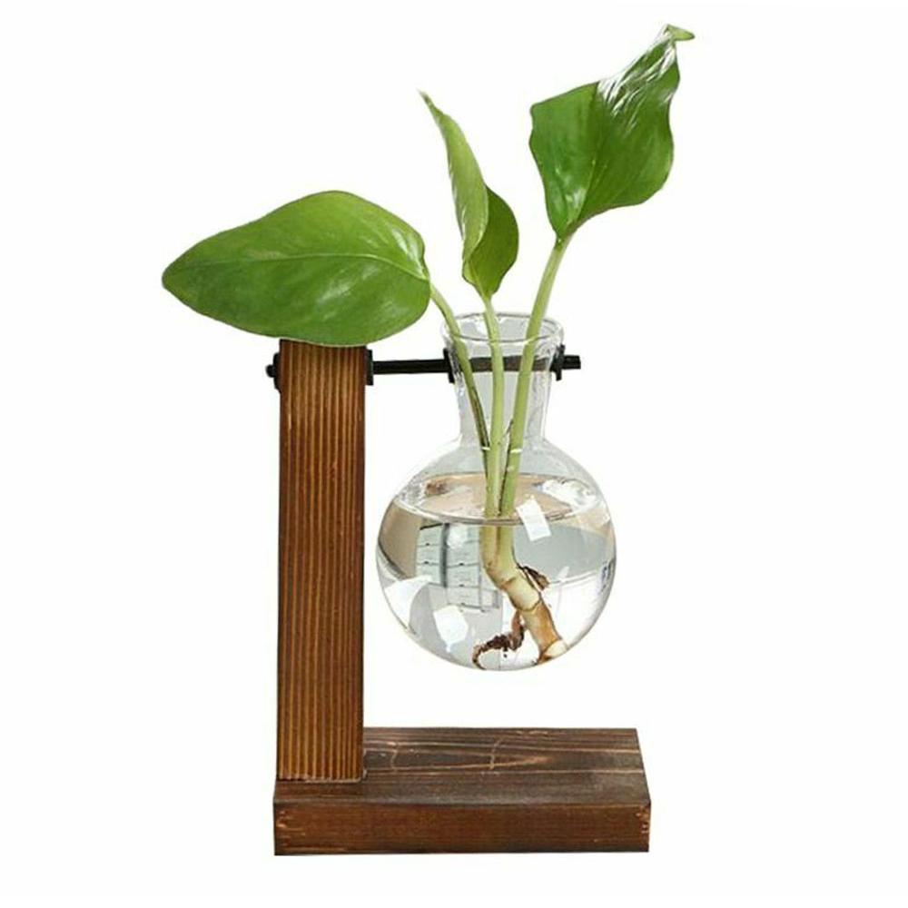 Transparent Bulb Vase with Wooden Stand Glass Desktop Planter for Hydroponic Plant Container Coffee Shop Room Tabletop Decor