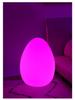 Nordic Egg-Shaped Table & Floor Lamp: Luxury Smart Lighting for Bedroom and Living Room