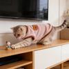 Warm Plush Cats & Dog Clothes For Winter, Cute Embroidered Pet Sweater With Soft Fleece, Comfortable Cold Weather Outfit For Small Pet