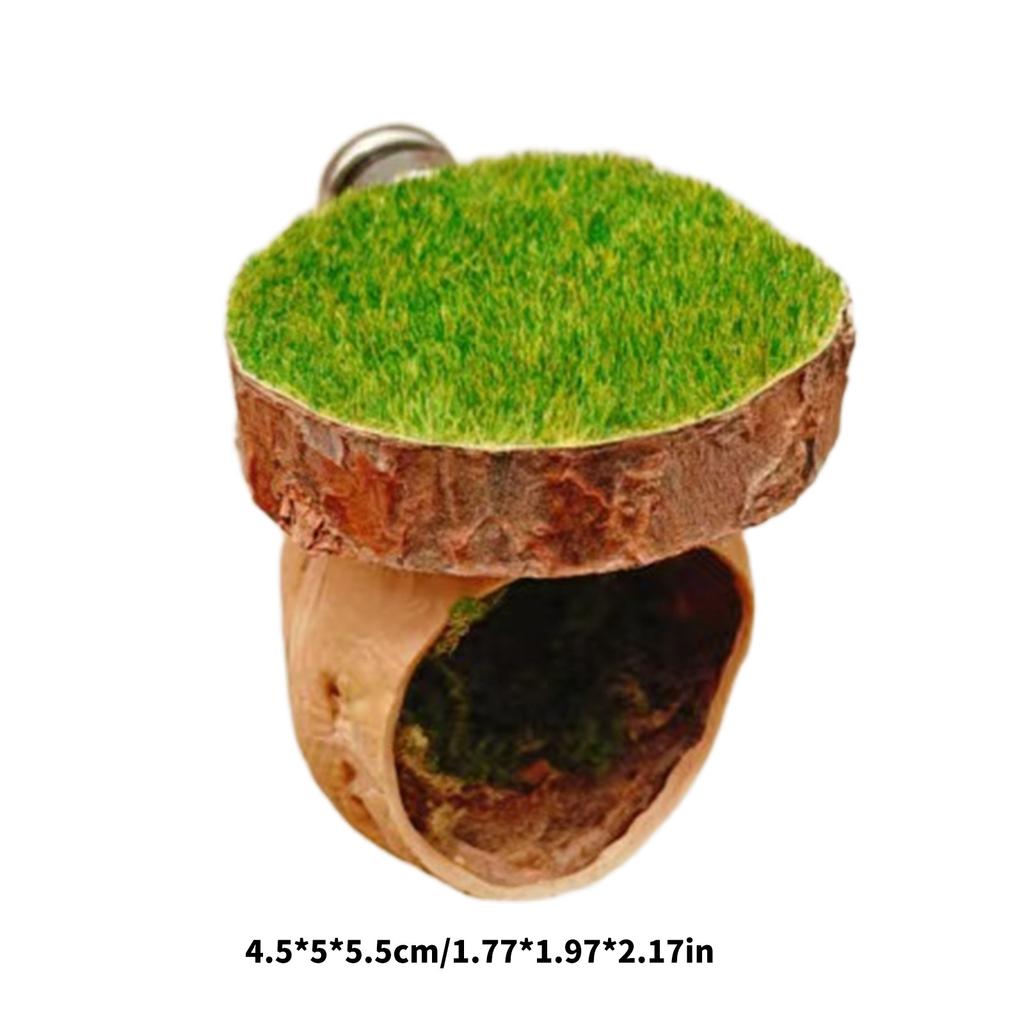 Wooden Pet Hideouts Shelter Cave with Magnetic Design for Jumping Spiders and Reptiles Terrarium Landscape Accessory