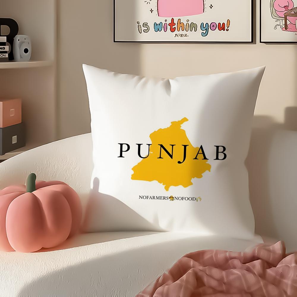 Classic PPunjab Map Cushion Cover Pillowcase Short Plush Invisible zipper Room Sofa Cushion Cover