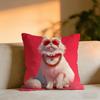 Cool And Domineering Cat Cushion Cover Cozy Velvet Throw PillowSoft Warm Cushion For Sofa  Bed