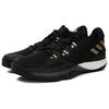 adidas Crazy Light Boost 2018 Black Gold Ac8365